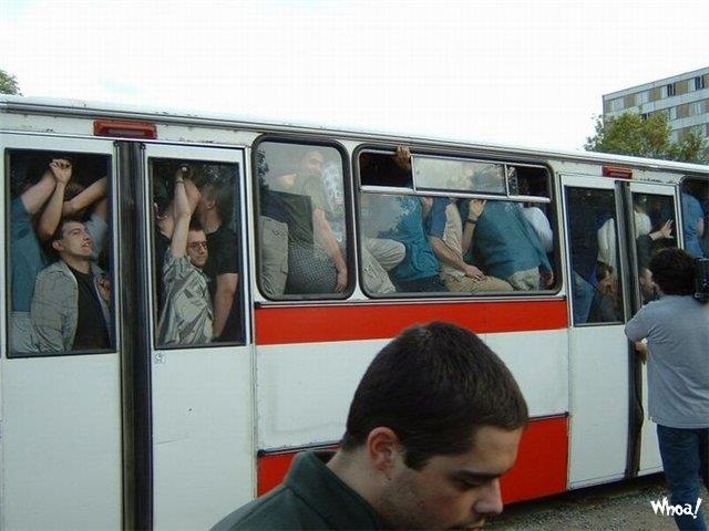 Traffic In Bus Funny Wallpaper